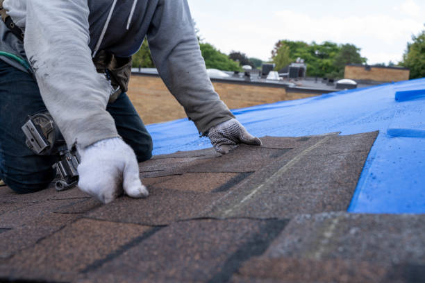 Best Roof Repair Services  in Oakes, ND