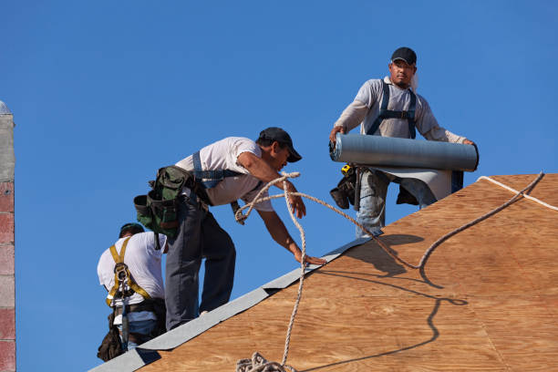 Best Residential Roofing Contractor  in Oakes, ND