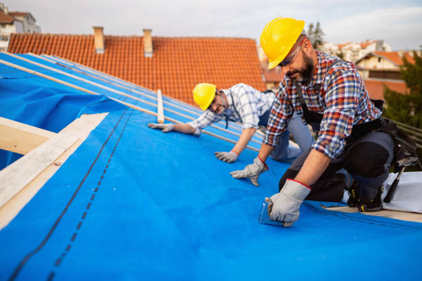 Best Roof Leak Repair  in Oakes, ND