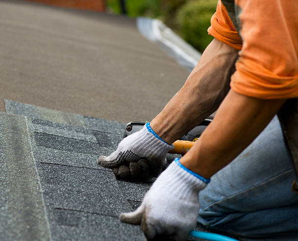 Best New Roof Installation  in Oakes, ND