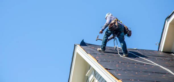 Best Roof Leak Repair  in Oakes, ND